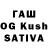 Псилоцибиновые грибы GOLDEN TEACHER WarenGet