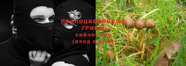 ALPHA PVP Сосновка