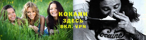 стафф Бугульма