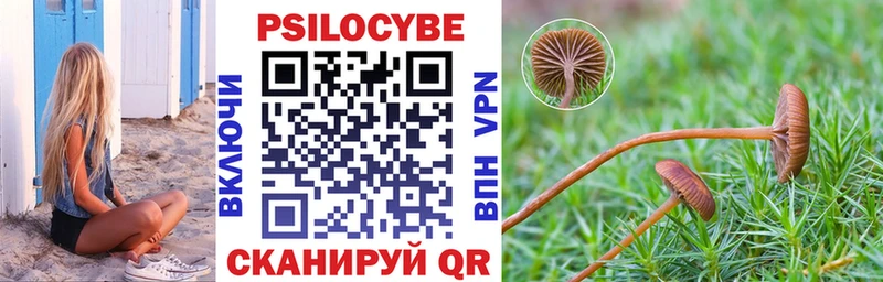 Псилоцибиновые грибы Magic Shrooms  Клинцы 